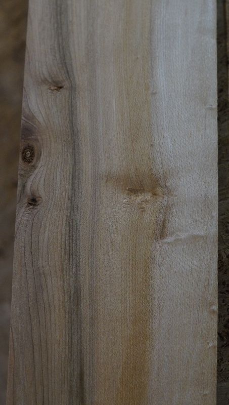 Griffbrett Birds Eye Maple Bass B-Ware