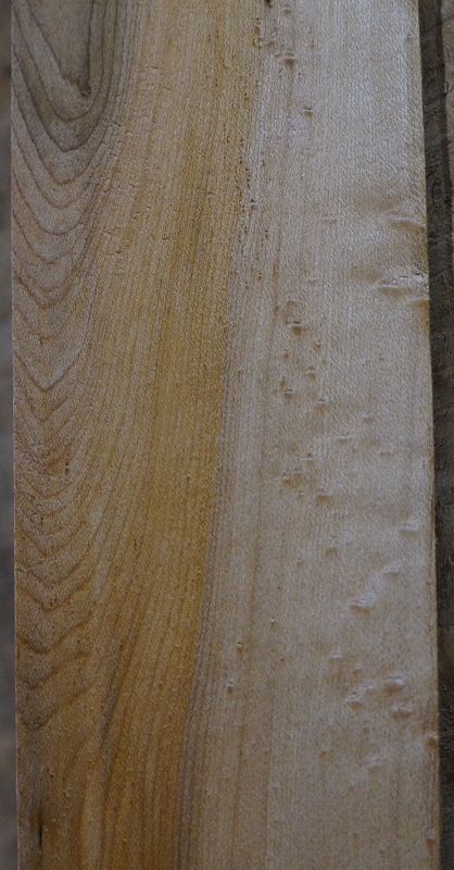 Griffbrett Birds Eye Maple Bass B-Ware