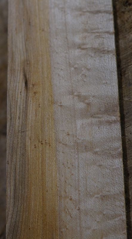 Griffbrett Birds Eye Maple Bass B-Ware