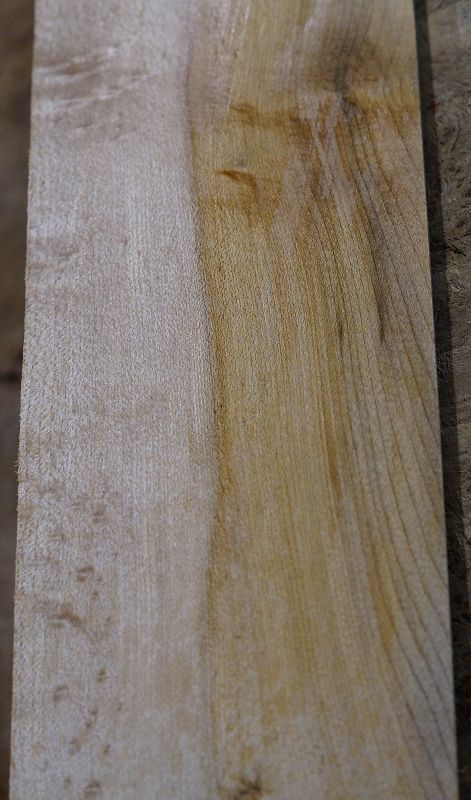 Griffbrett Birds Eye Maple Bass B-Ware