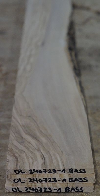 Griffbrett Olive 240723-1 Bass