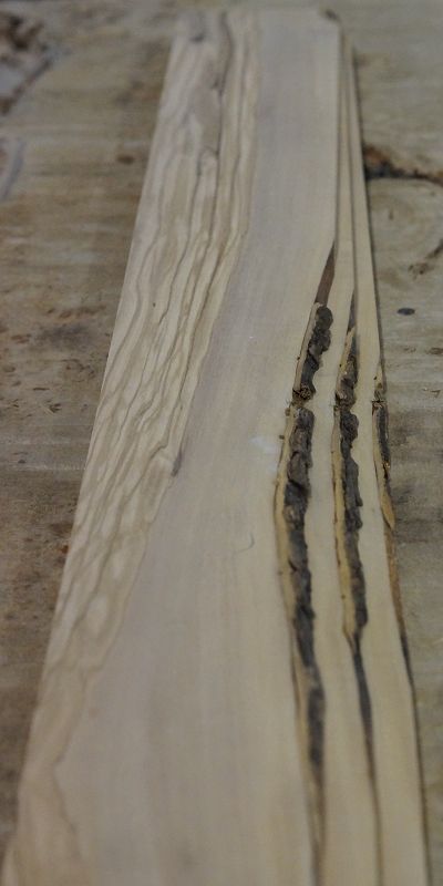 Griffbrett Olive 240723-1 Bass