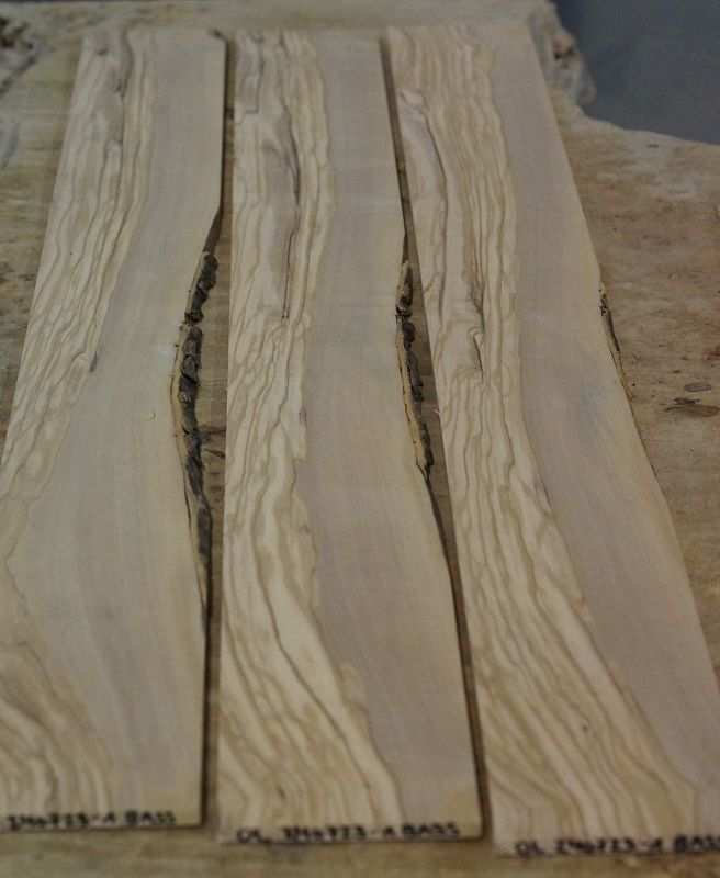 Griffbrett Olive 240723-1 Bass
