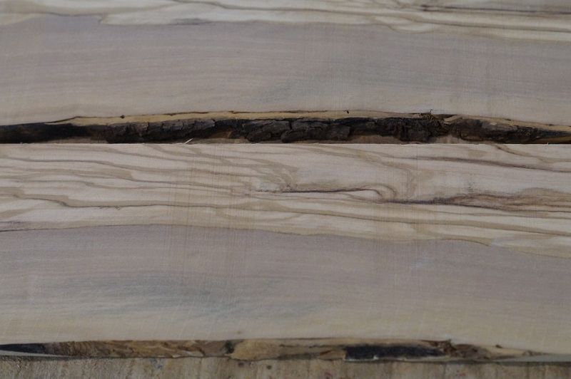 Griffbrett Olive 240723-1 Bass