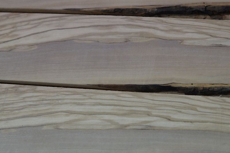 Griffbrett Olive 240723-1 Bass