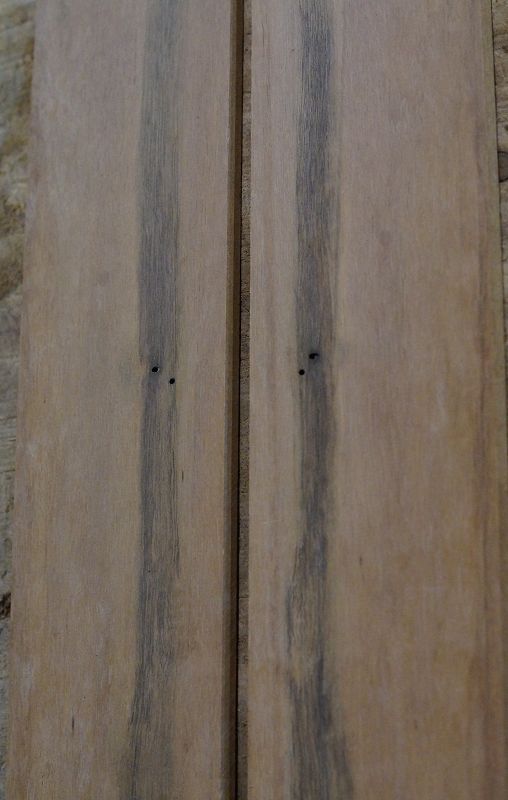 Griffbrett Ebenholz Weiß Bass