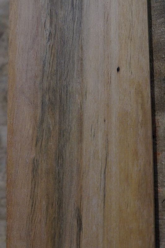 Griffbrett Ebenholz Weiß Bass