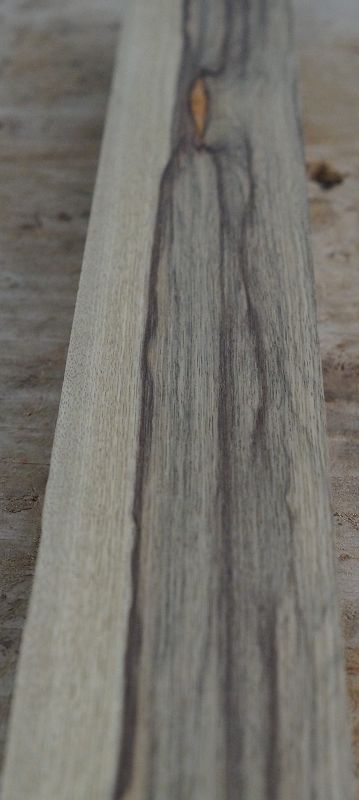 Halsrohling Black Korina 180723-1
