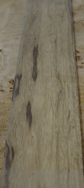 Halsrohling Black Korina 161122 Bass