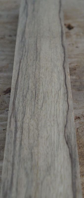 Halsrohling Black Korina 180723-2