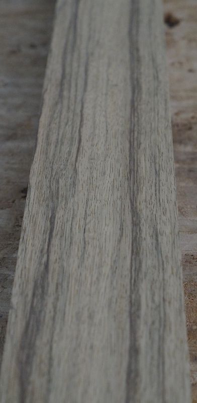 Halsrohling Black Korina 180723-3