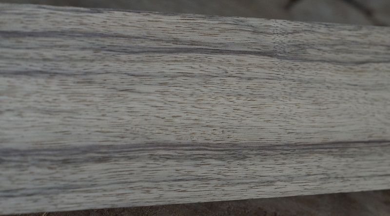 Halsrohling Black Korina 180723-3