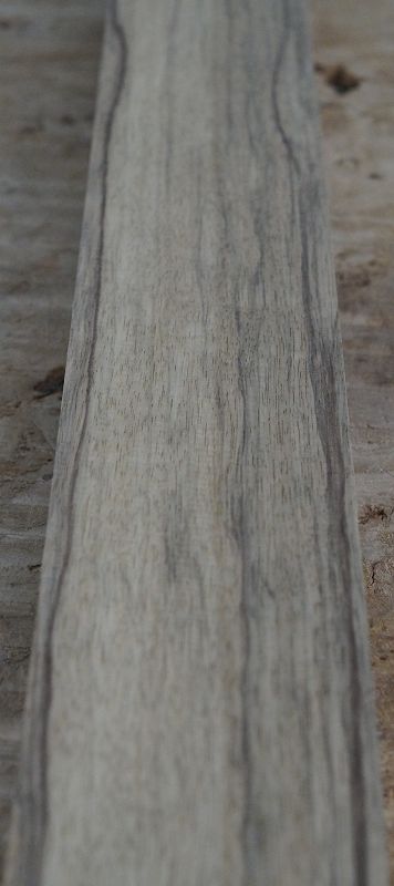 Halsrohling Black Korina 180723-3