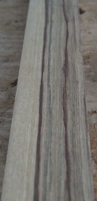 Halsrohling Black Korina 180723-4