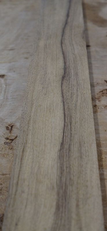 Halsrohling Black Korina 240324-1