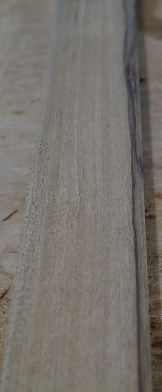 Halsrohling Black Korina 240723-1