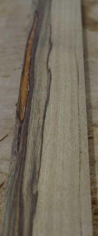 Halsrohling Black Korina 240723-1