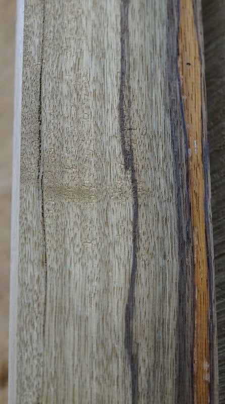 Halsrohling Black Korina 240723-1