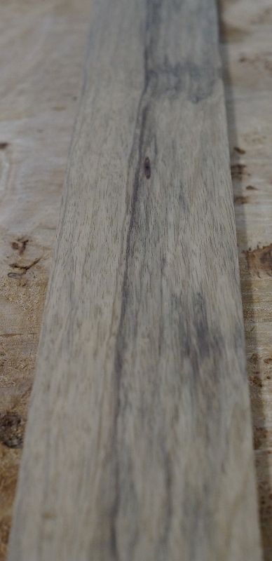 Halsrohling Black Korina 250123-1 Bass