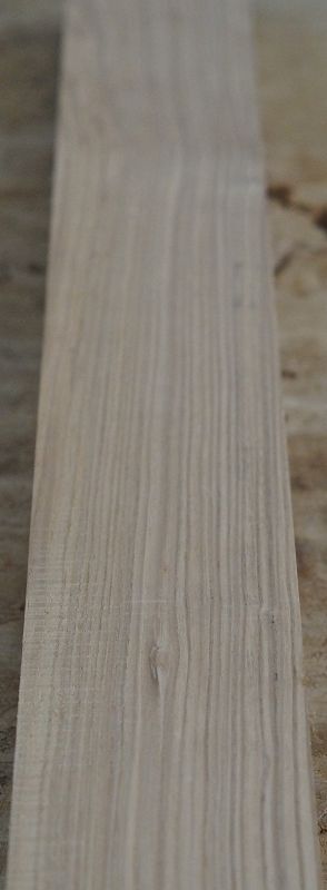 Halsrohling Esche 180723