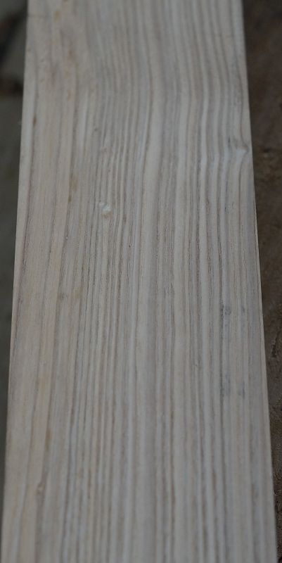 Halsrohling Esche 180723