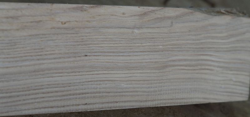 Halsrohling Esche 180723