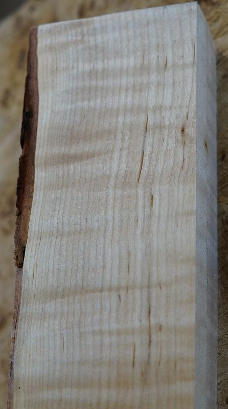Halsrohling Soft Maple Riegel 110523-3