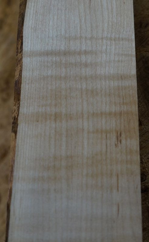 Halsrohling Soft Maple Riegel 110523-3