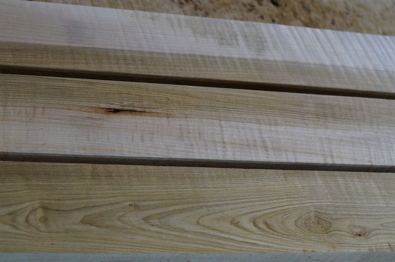 Halsrohling Soft Maple Riegel 240323-1