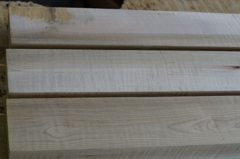 Halsrohling Soft Maple Riegel 240323-1