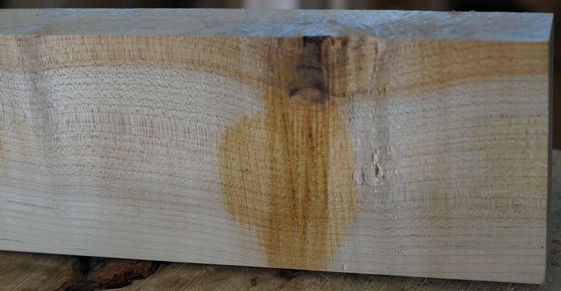 Halsrohling Hard Maple 180723-3