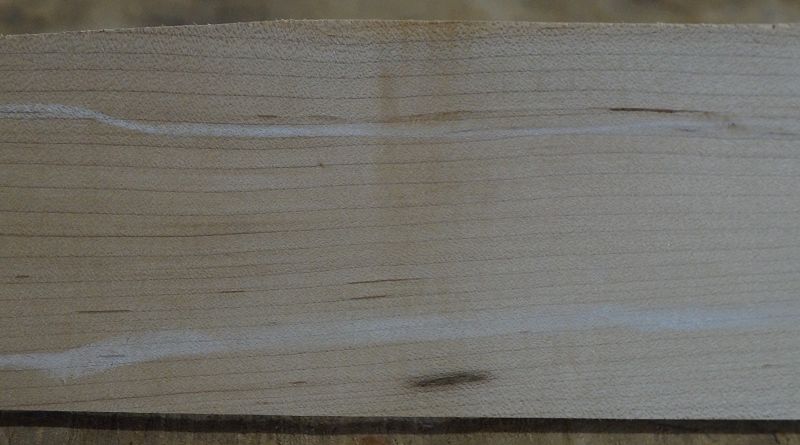 Halsrohling + Griffbrett Set Hard Maple 240723-1
