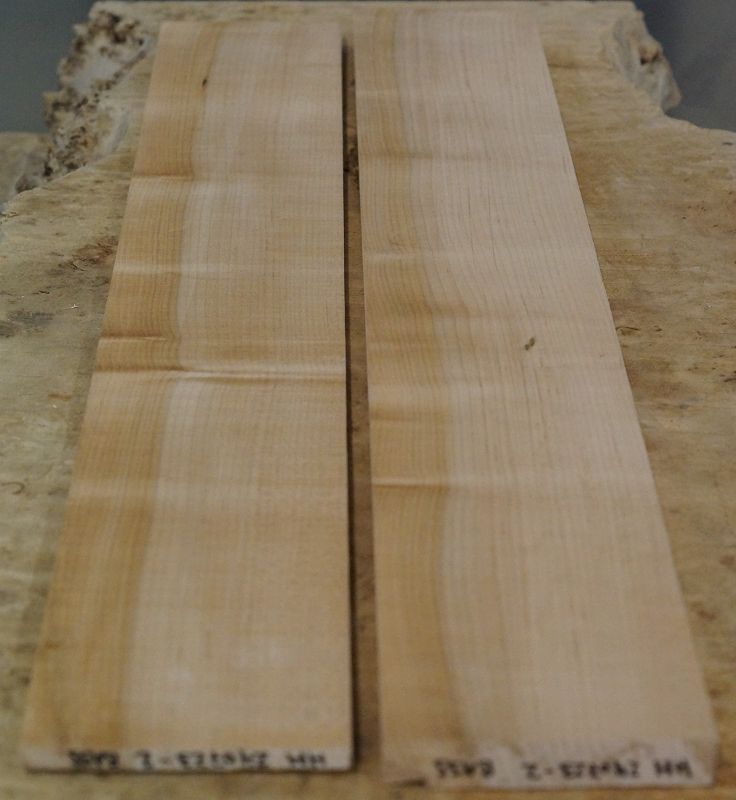 Halsrohling + Griffbrett Set Hard Maple 240723-2 Bass