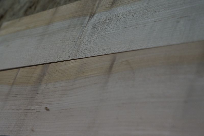 Halsrohling + Griffbrett Set Hard Maple 240723-2 Bass
