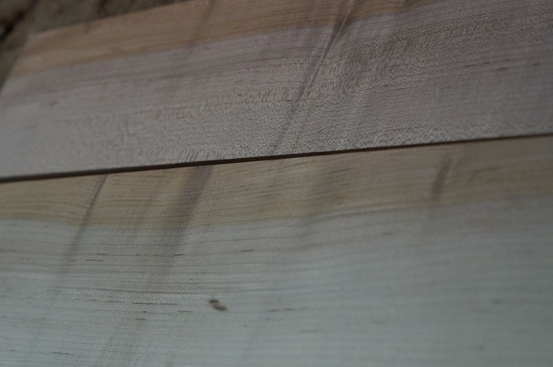 Halsrohling + Griffbrett Set Hard Maple 240723-2 Bass