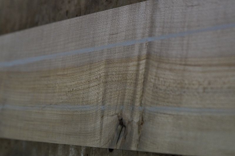 Halsrohling + Griffbrett Set Hard Maple 240723-3 Bass