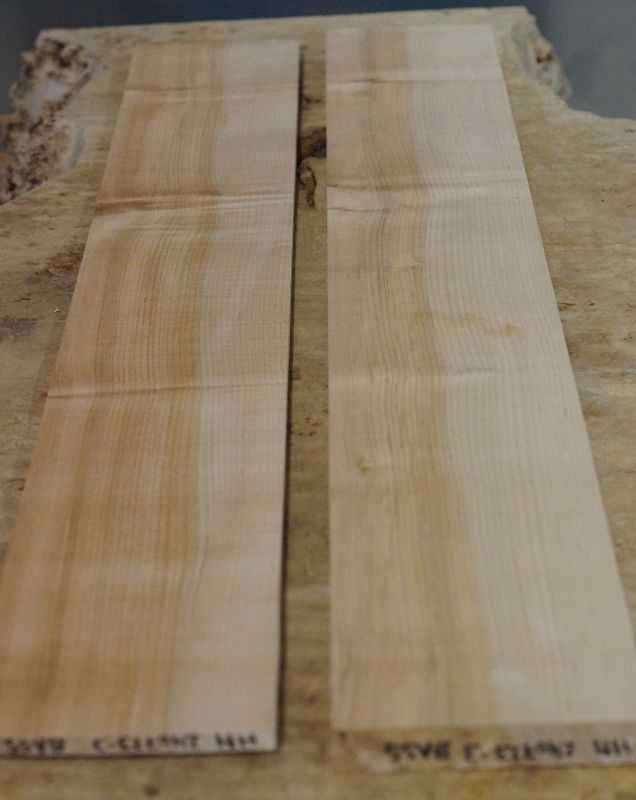 Halsrohling + Griffbrett Set Hard Maple 240723-3 Bass
