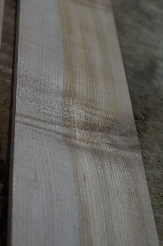 Halsrohling + Griffbrett Set Hard Maple 240723-3 Bass