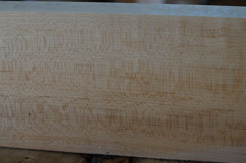 Halsrohling Hard Maple Riegel 180723-2