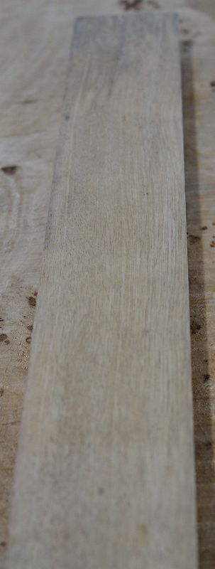 Halsrohling Korina 010622-1