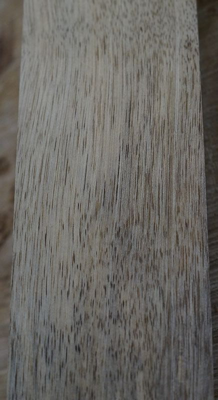 Halsrohling Korina 010622-1
