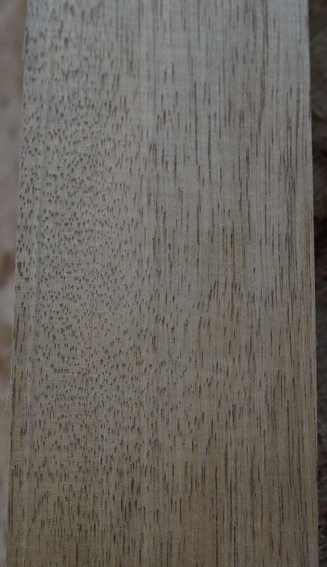 Halsrohling Korina 010622-1