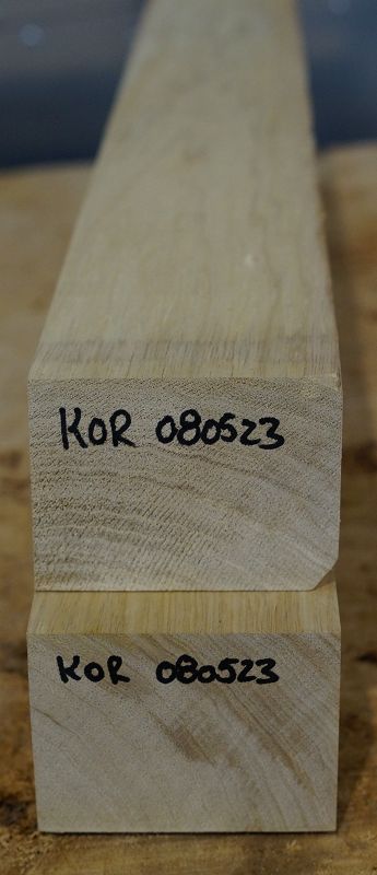 Halsrohling Korina 080523