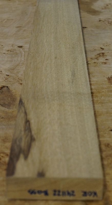 Halsrohling Korina 241122 Bass