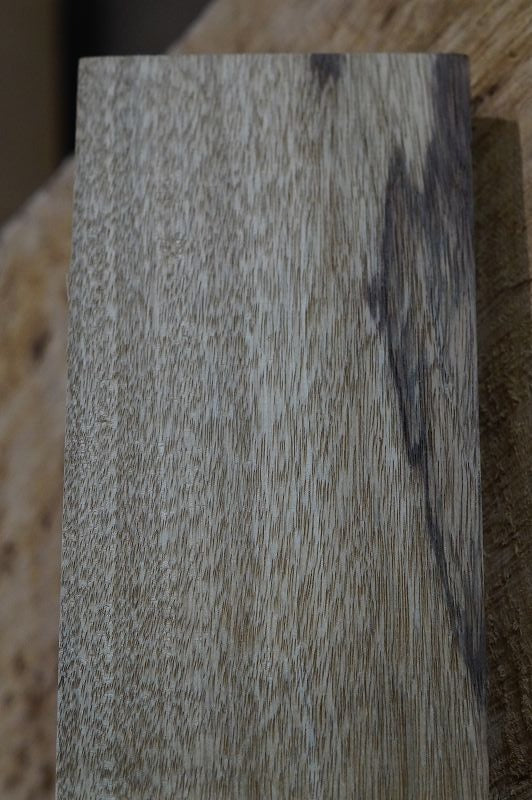 Halsrohling Korina 241122 Bass