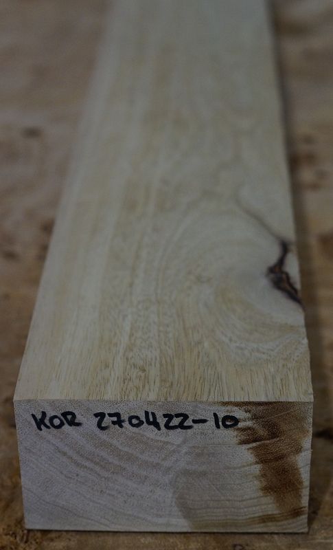 Halsrohling Korina 270422-10