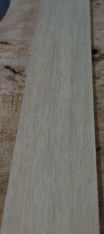 Halsrohling Korina 270422-11