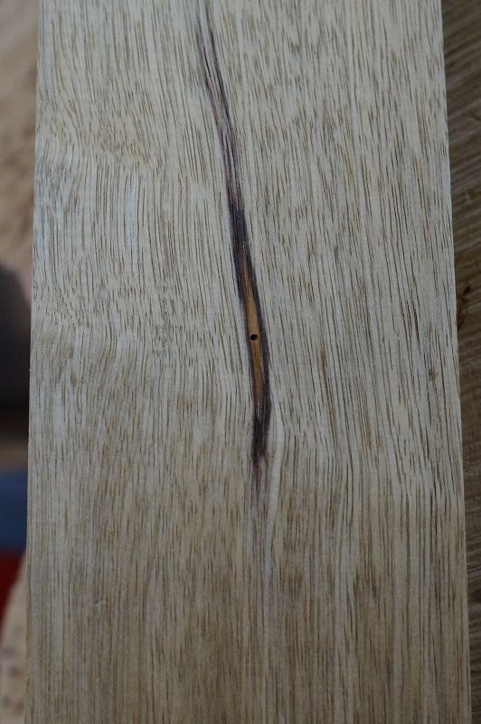 Halsrohling Korina 270422-7 Bass