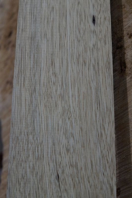Halsrohling Korina 270422-7 Bass