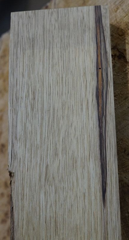 Halsrohling Korina 270422-7 Bass